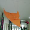 Dni Origami